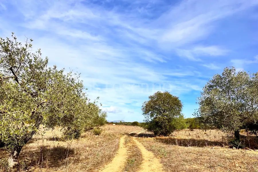 Agricolo in vendita di 375.217 mq a €480.000 (rif. 55/2024)