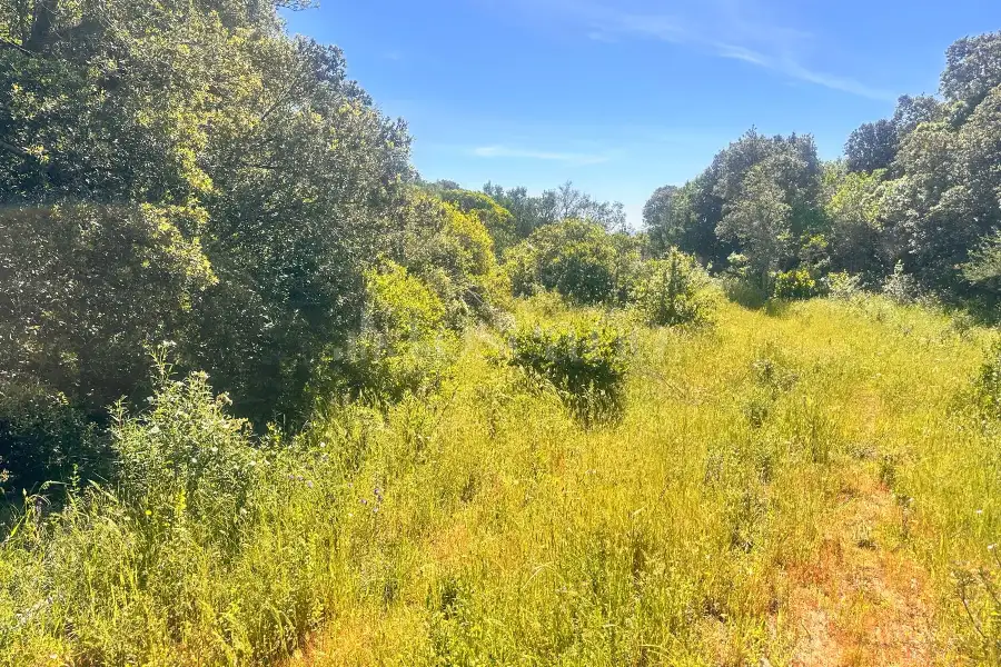 Agricolo in vendita di 75.140 mq a €95.000 (rif. 21/2025)