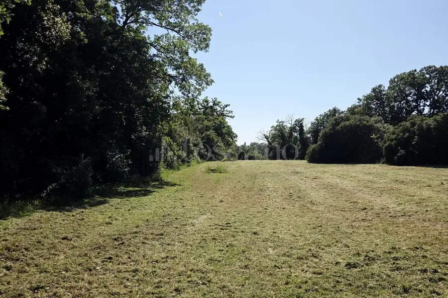 Edificabile Commerciale in affitto di 19.500 mq a €1.500 (rif. 77/2026)
