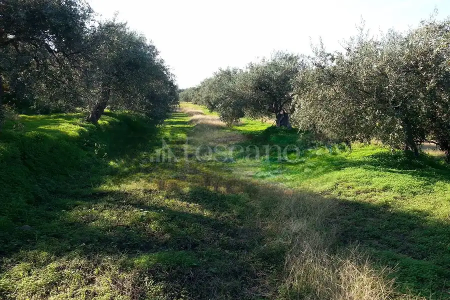 Rustico in vendita di 178 mq a €70.000 (rif. 14/2026)