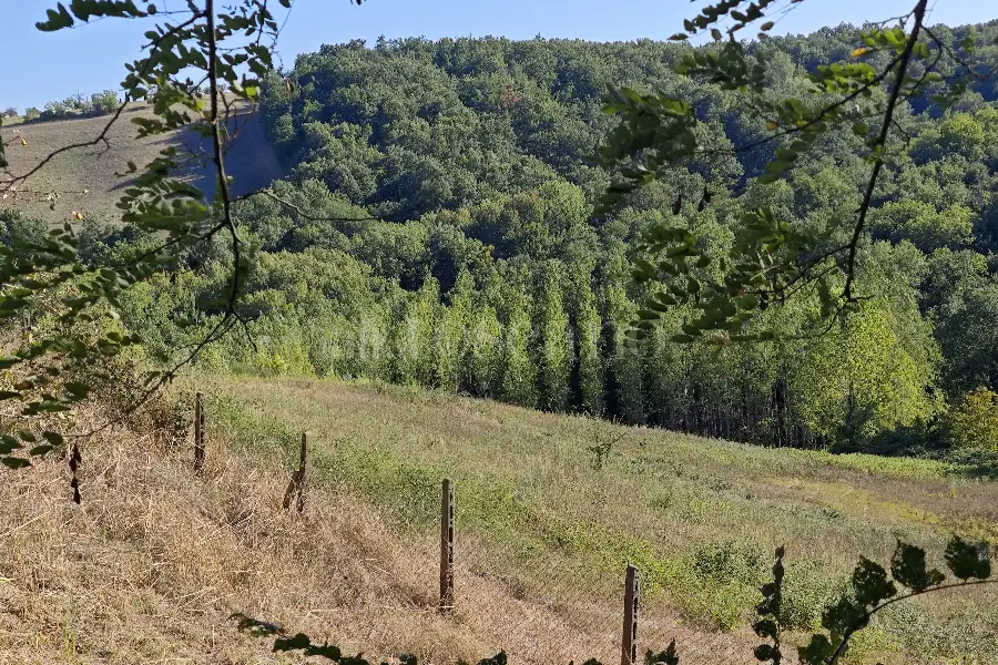 Agricolo in vendita di 20.000 mq a €80.000 (rif. 24/2026)