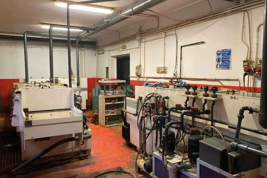 Capannone in vendita di 300 mq a €295,000 (rif. TS0203VE)