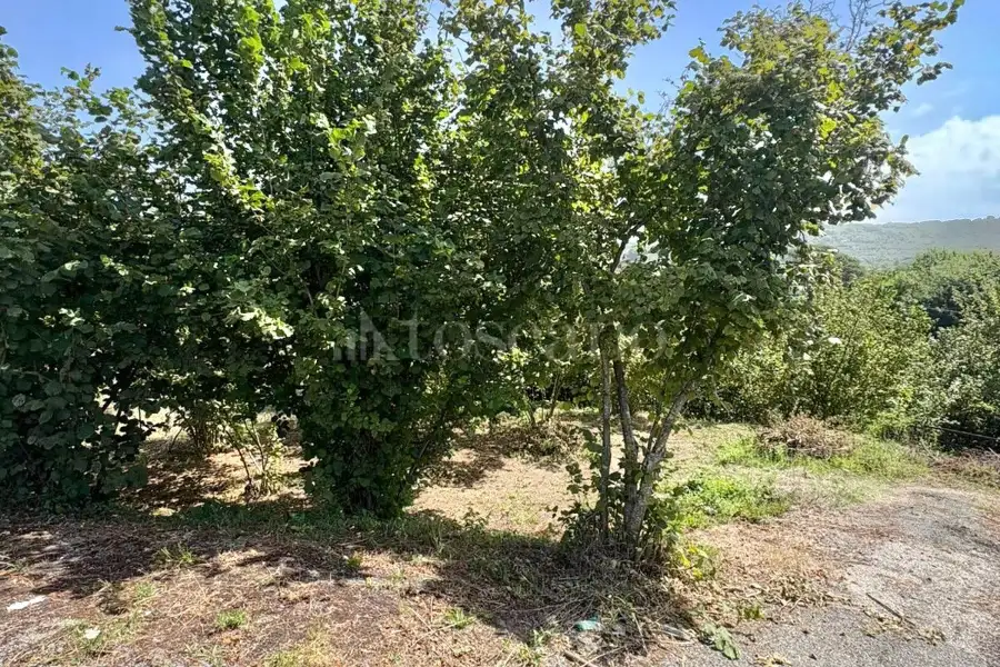 Agricolo in vendita di 2.000 mq a €18.000 (rif. 107/2026)