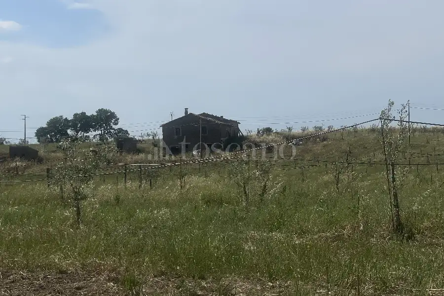 Agricolo in vendita di 60.000 mq a €170.000 (rif. 25/2026)