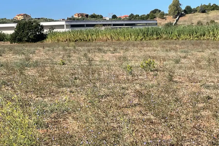 Agricolo in vendita di 40.000 mq a €180.000 (rif. 29/2026)