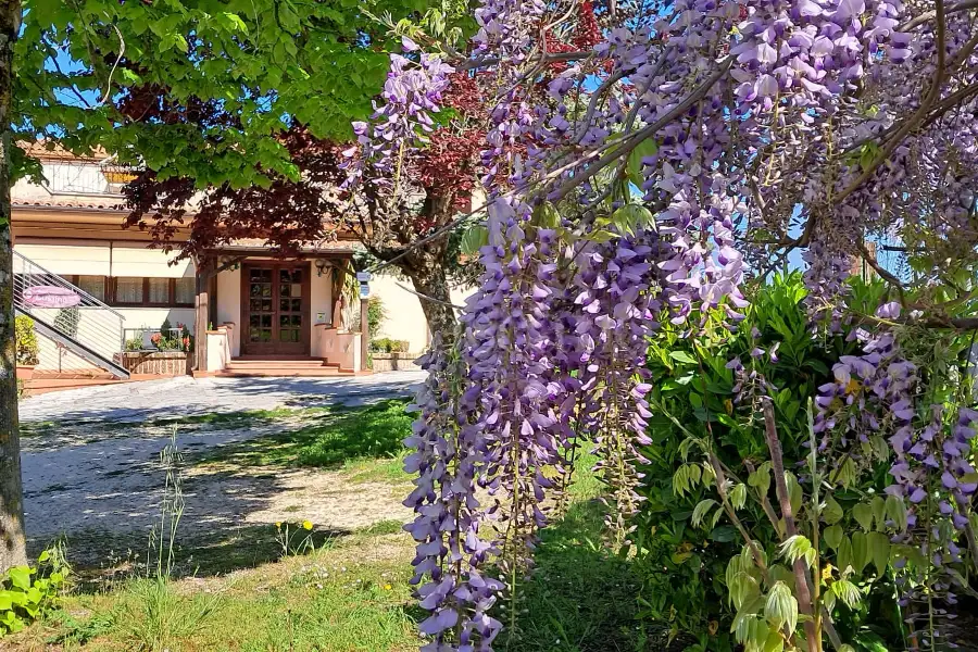 Negozio in vendita di 600 mq a €750.000 (rif. 17/2025)