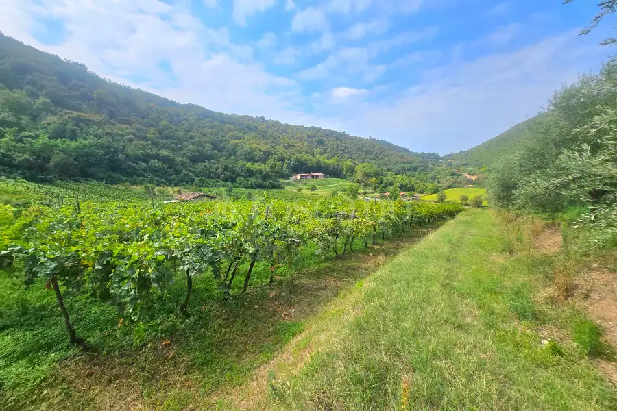 Agricolo in vendita di 15.000 mq a €210.000 (rif. 75/2026)