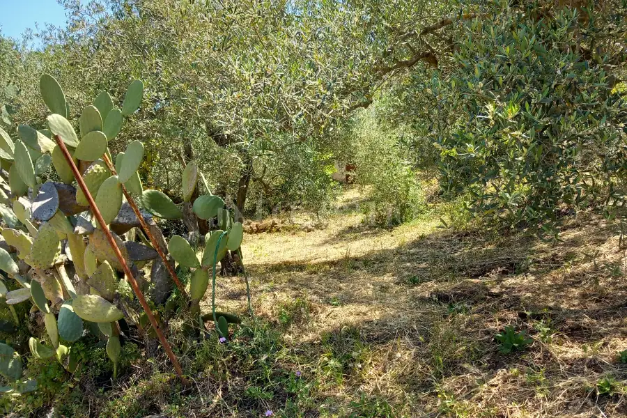 Villa in vendita di 100 mq a €107.000 (rif. 14/2026)