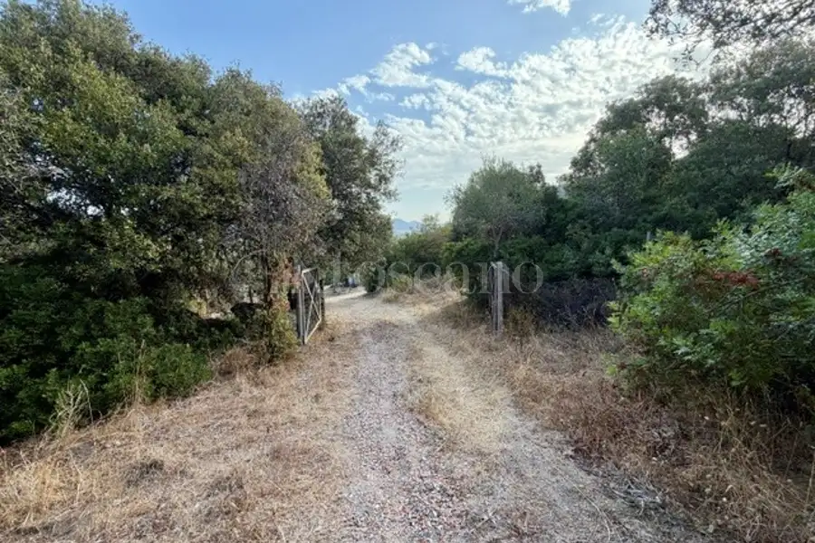 Agricolo in vendita di 13.000 mq a €95.000 (rif. 56/2026)