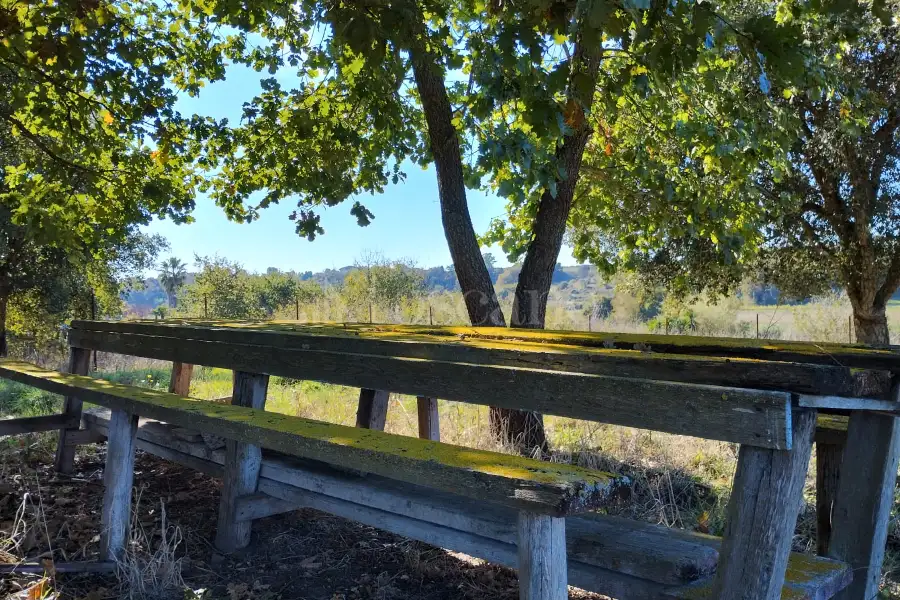 Agricolo in vendita di 1.200 mq a €45.000 (rif. 62/2025)