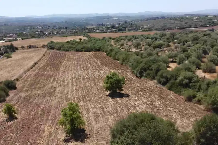 Edificabile Residenziali in vendita di 15.000 mq a €75.000 (rif. 163/2026)