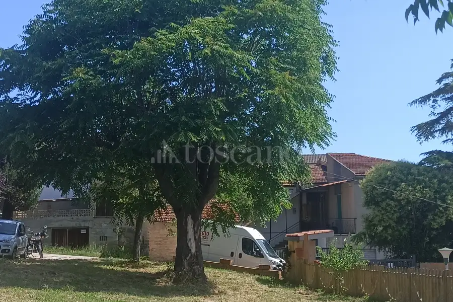 Agricolo in vendita di 12.000 mq a €89.500 (rif. 31/2025)