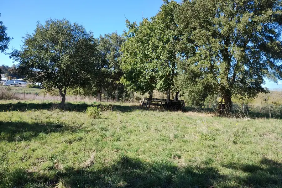 Agricolo in vendita di 1.200 mq a €45.000 (rif. 62/2025)