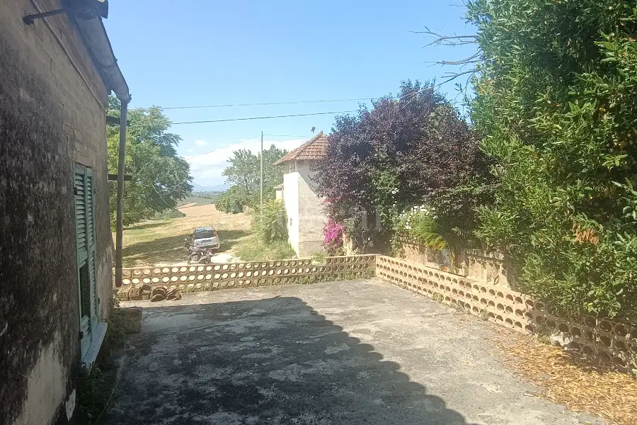 Agricolo in vendita di 12.000 mq a €89.500 (rif. 31/2025)
