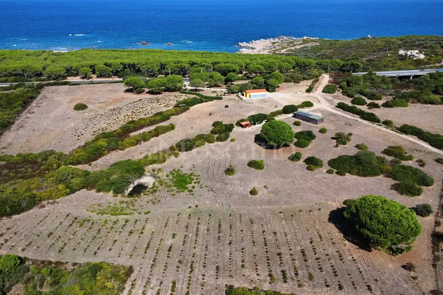 Casale in vendita di 150 mq a €1.750.000 (rif. 7/2026)