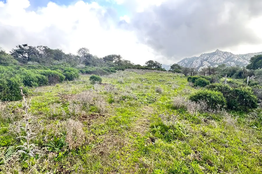 Agricolo in vendita di 247.451 mq a €250.000 (rif. 58/2024)