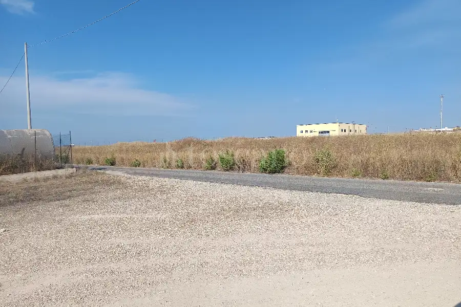 Agricolo in affitto di 1.000 mq a €750 (rif. 95/2026)