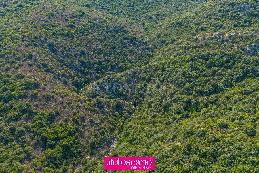 Agricolo in vendita di 176.937 mq a €170.000 (rif. 49/2026)