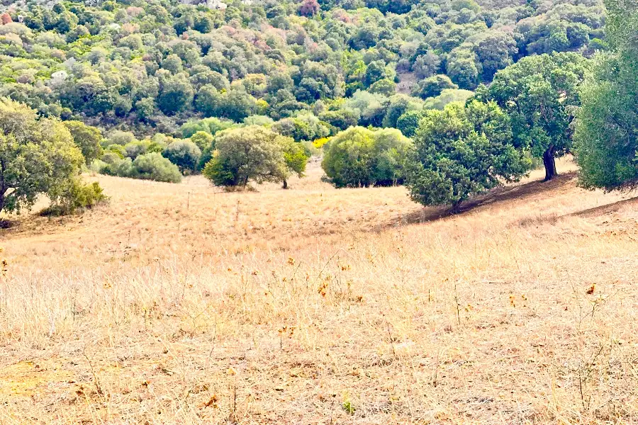 Agricolo in vendita di 194.010 mq a €250.000 (rif. 56/2024)