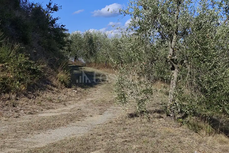 Agricolo in vendita di 20.000 mq a €80.000 (rif. 24/2026)