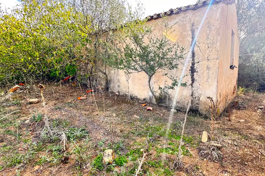 Agricolo in vendita di 375.217 mq a €480.000 (rif. 55/2024)