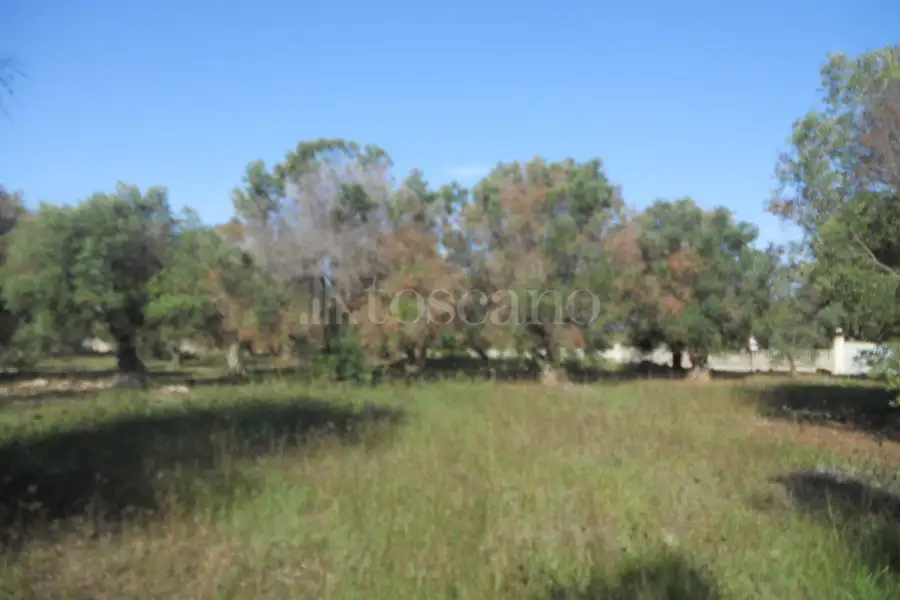 Edificabile Residenziali in vendita di 43.364 mq a €2.200.000 (rif. 20/2026)