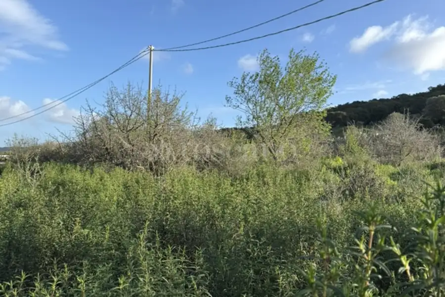 Edificabile Residenziali in vendita di 939 mq a €97.000 (rif. 5/2026)