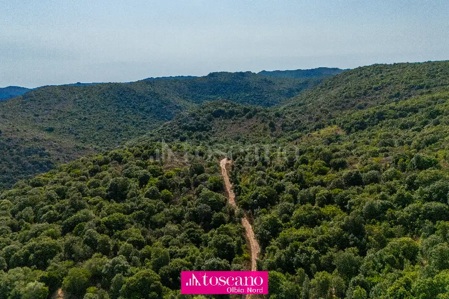 Agricolo in vendita di 176.937 mq a €170.000 (rif. 49/2026)