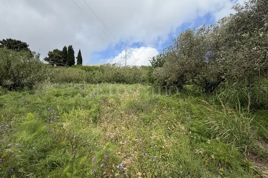 Agricolo in vendita di 16.504 mq a €88.000 (rif. 20/2026)