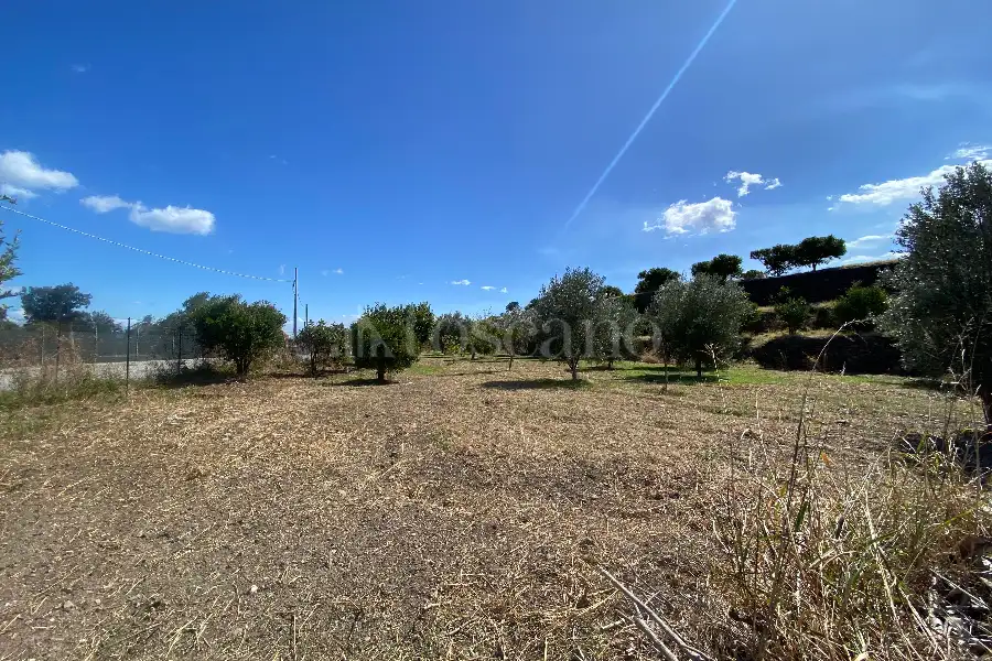 Agricolo in vendita di 5.393 mq a €36.000 (rif. 16/2026)