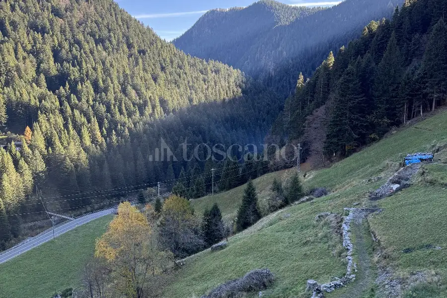 Negozio in vendita di 550 mq a €360,000 (rif. TS0321VE)