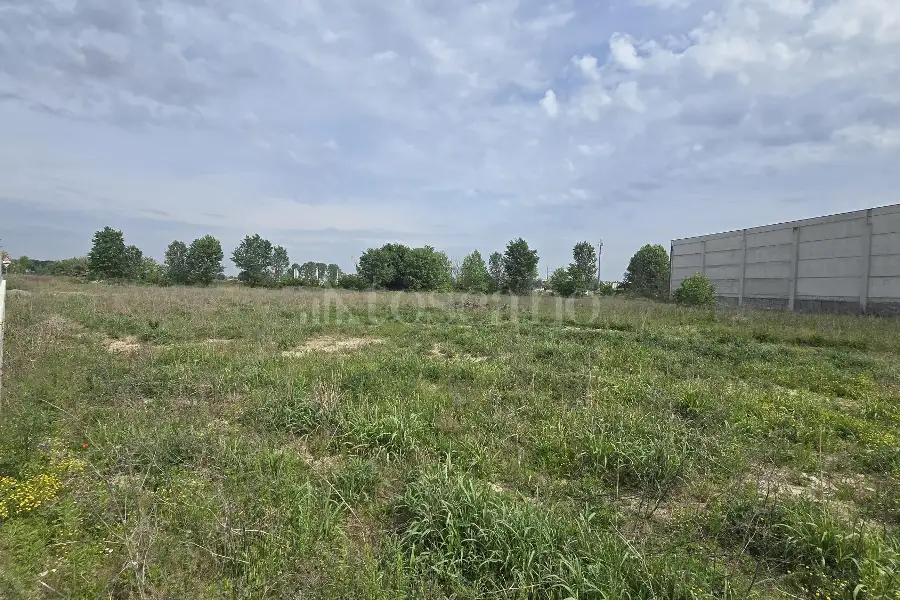 Terreno in vendita di 10000 mq a €900,000 (rif. MRE1273VE)