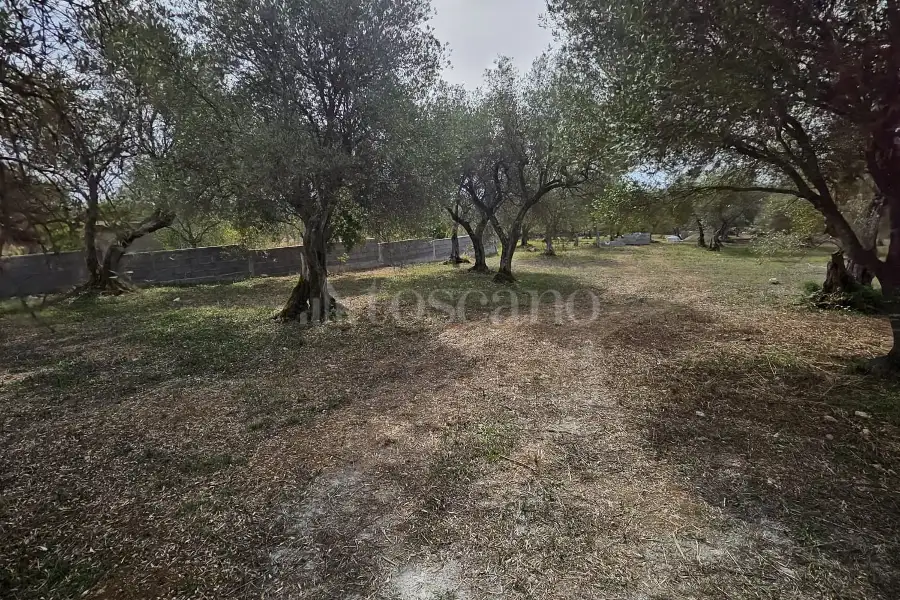 Edificabile Residenziali in vendita di 10.000 mq a €99.000 (rif. 176/2025)