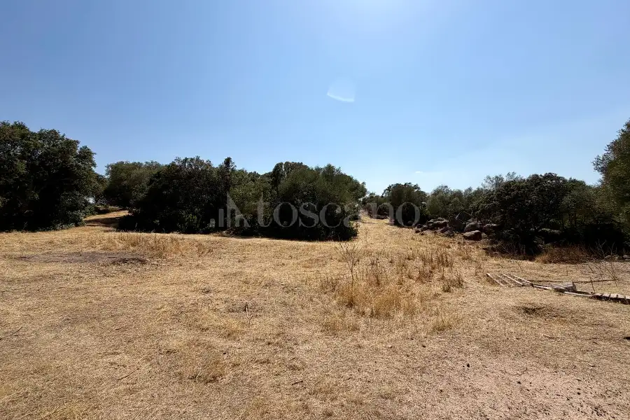 Edificabile Residenziali in vendita di 20.000 mq a €195.000 (rif. 53/2026)