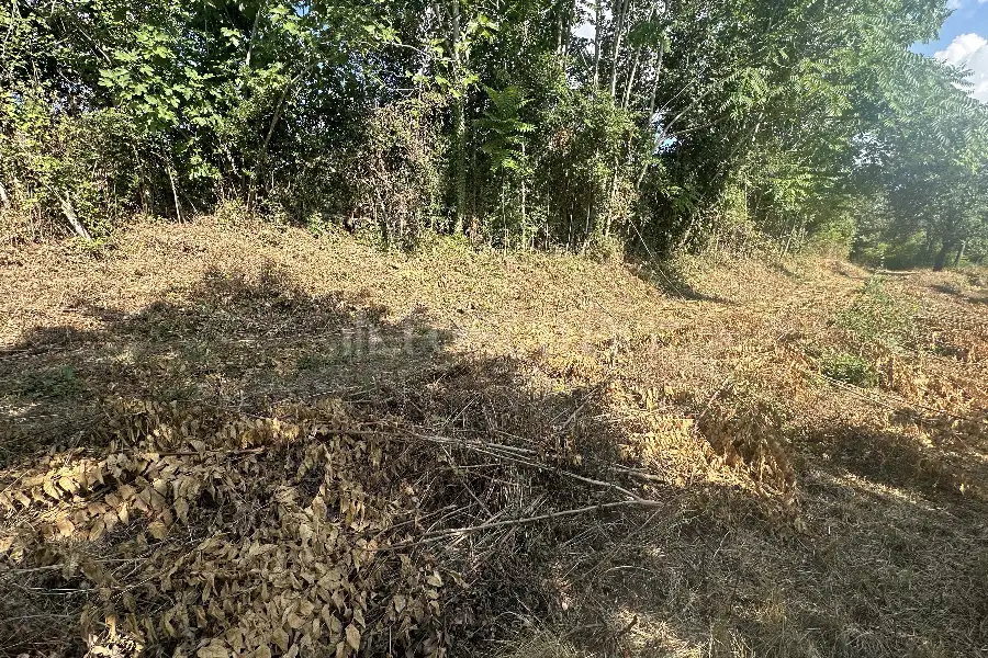 Agricolo in vendita di 1.200 mq a €19.900 (rif. 18/2025)