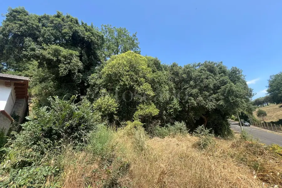 Agricolo in vendita di 3.000 mq a €55.000 (rif. 38/2025)