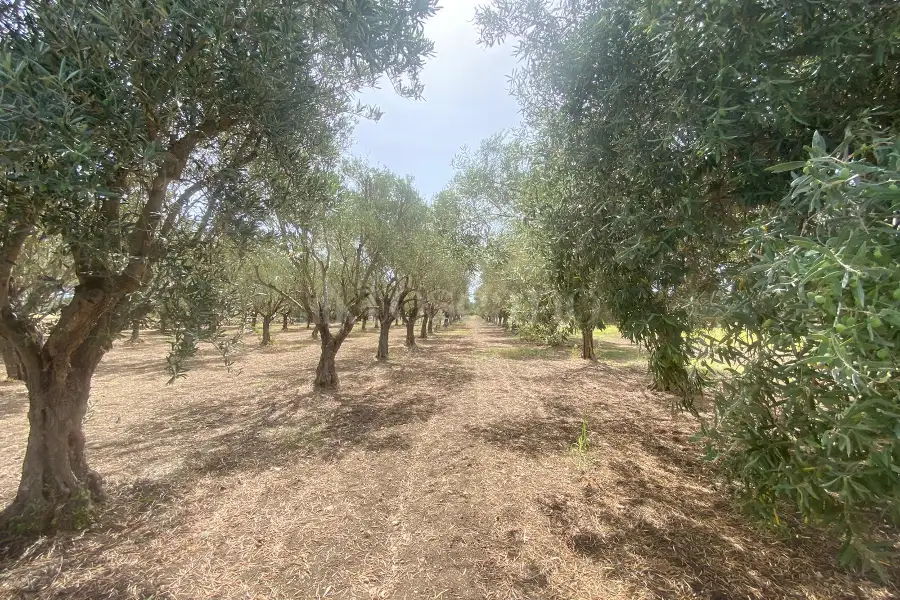 Villa in vendita di 100 mq a €200.000 (rif. 67/2024)