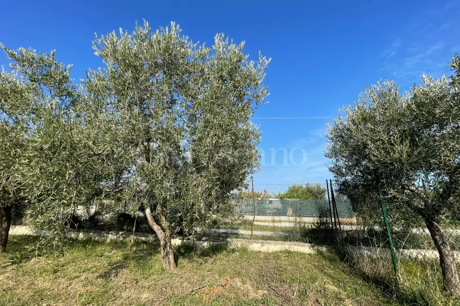 Agricolo in vendita di 1.288 mq a €37.000 (rif. 59/2025)