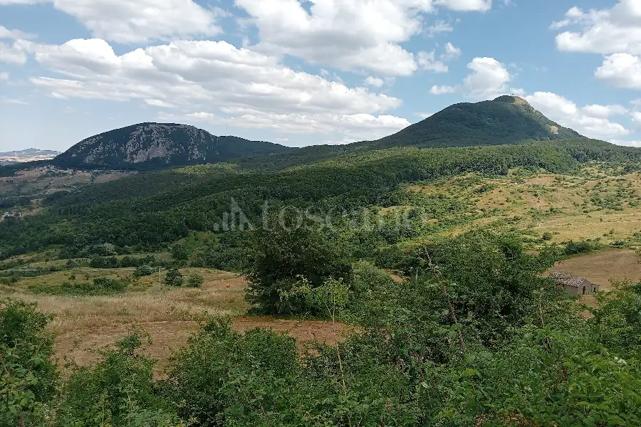 Agricolo in vendita di 155.000 mq a €80.000 (rif. 35/2025)