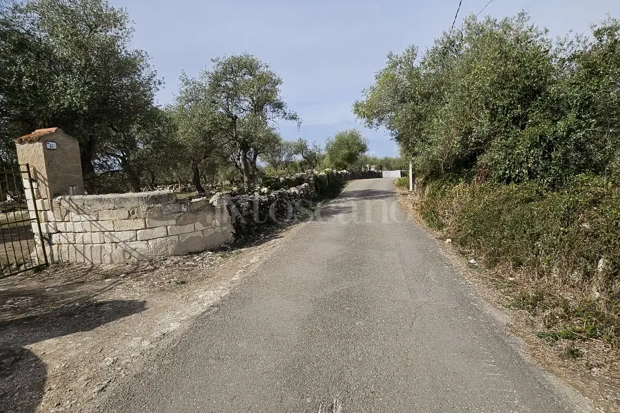 Edificabile Residenziali in vendita di 10.000 mq a €99.000 (rif. 176/2025)