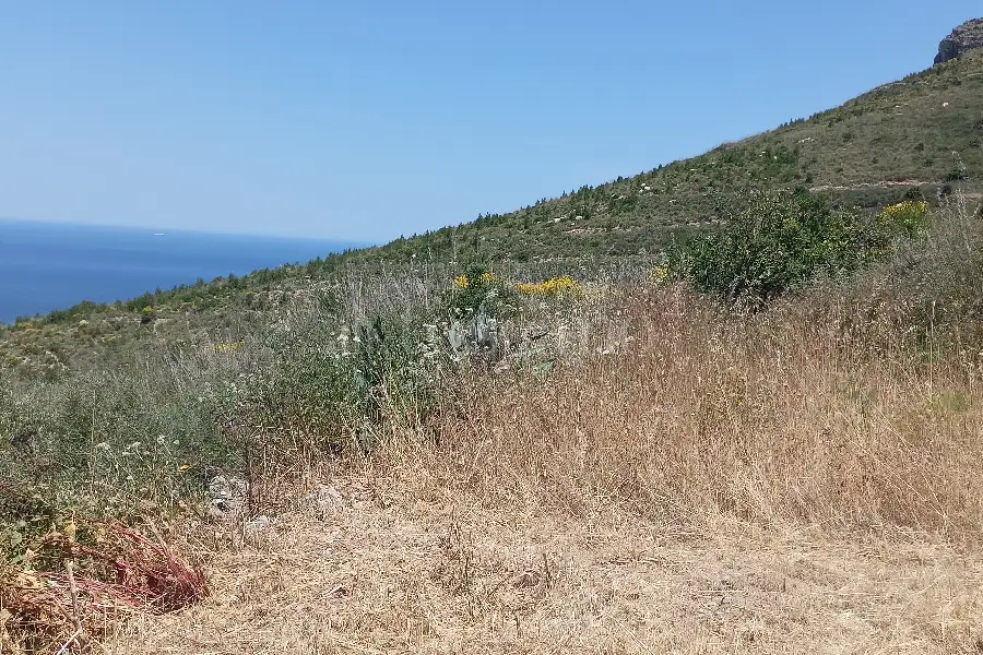 Agricolo in vendita di 37.700 mq a €225.000 (rif. 31/2026)