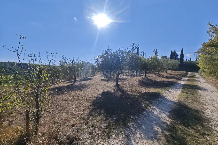Agricolo in vendita di 20.000 mq a €80.000 (rif. 24/2026)