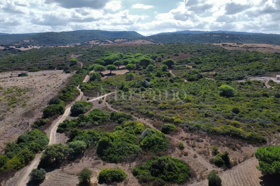 Casale in vendita di 150 mq a €1.750.000 (rif. 7/2026)