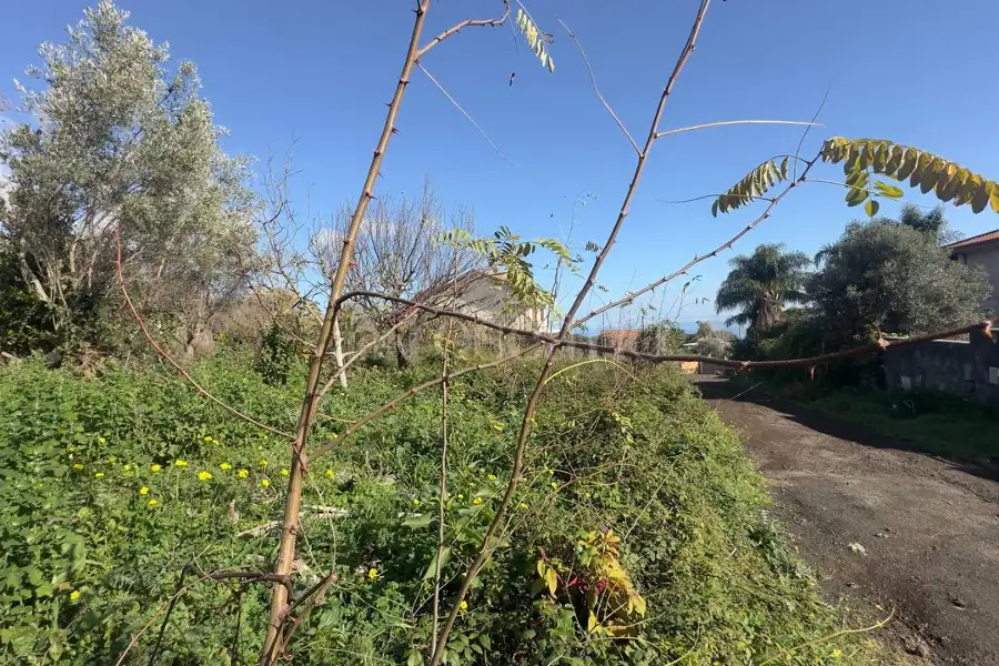 Edificabile Residenziali in vendita di 1.600 mq a €138.000 (rif. 192/2025)