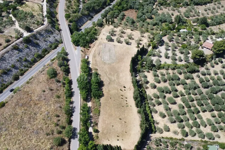 Edificabile Industriale in vendita di 9.000 mq a €50.000 (rif. 142/2026)