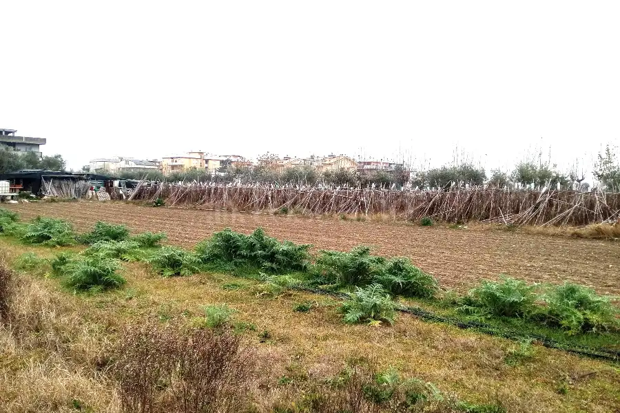 Agricolo in vendita di 2.400 mq a €55.000 (rif. 64/2025)