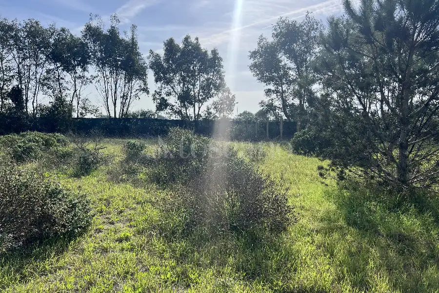 Edificabile Residenziali in vendita di 1.110 mq a €30.000 (rif. 85/2024)