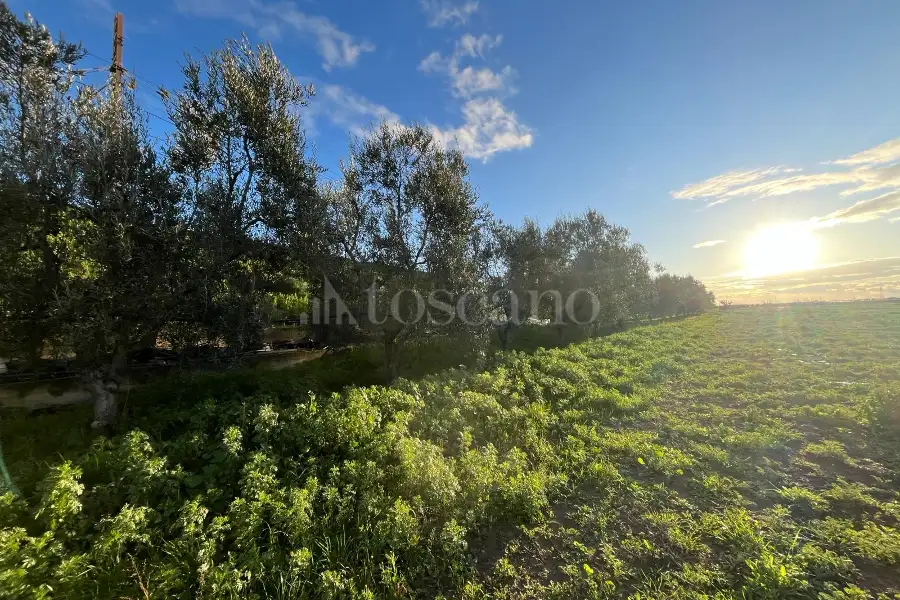Agricolo in vendita di 10.000 mq a €35.000 (rif. 7/2026)
