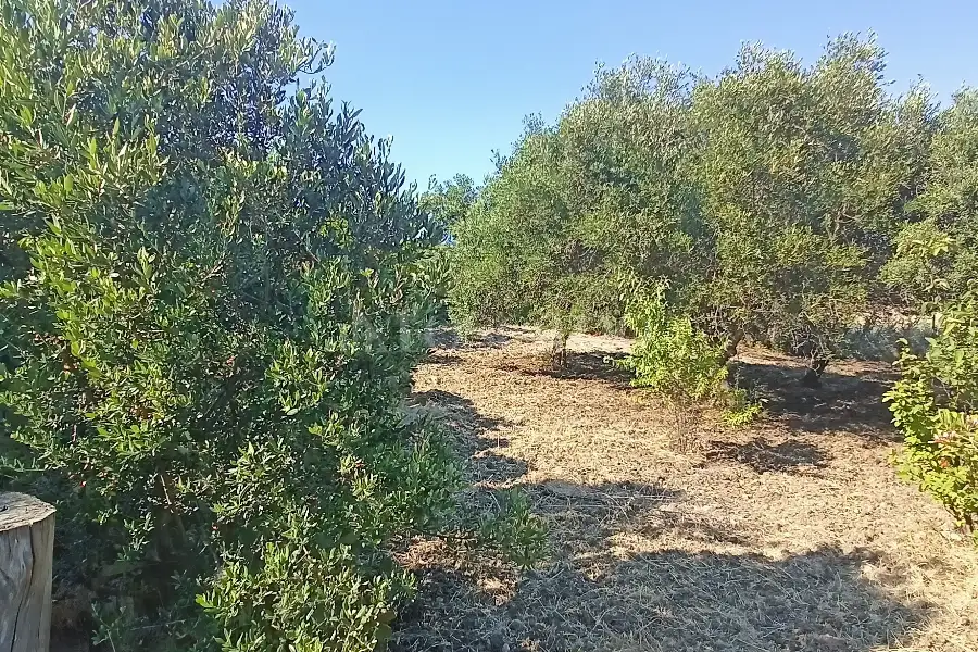 Villa in vendita di 163 mq a €265.000 (rif. 24/2026)