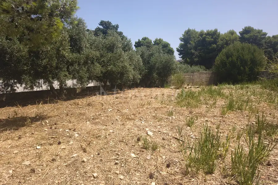 Edificabile Residenziali in vendita di 650 mq a €28.000 (rif. 45/2026)